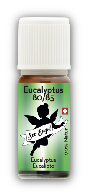 Eukalyptusöl - Ätherische Öle